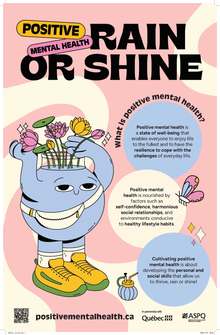 Affiche définition SMP 11x17 ang