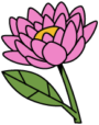 6 ASPQ Site Web Illustration